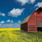 Saskatchewan Immigrant Nominee Program (SINP) explained