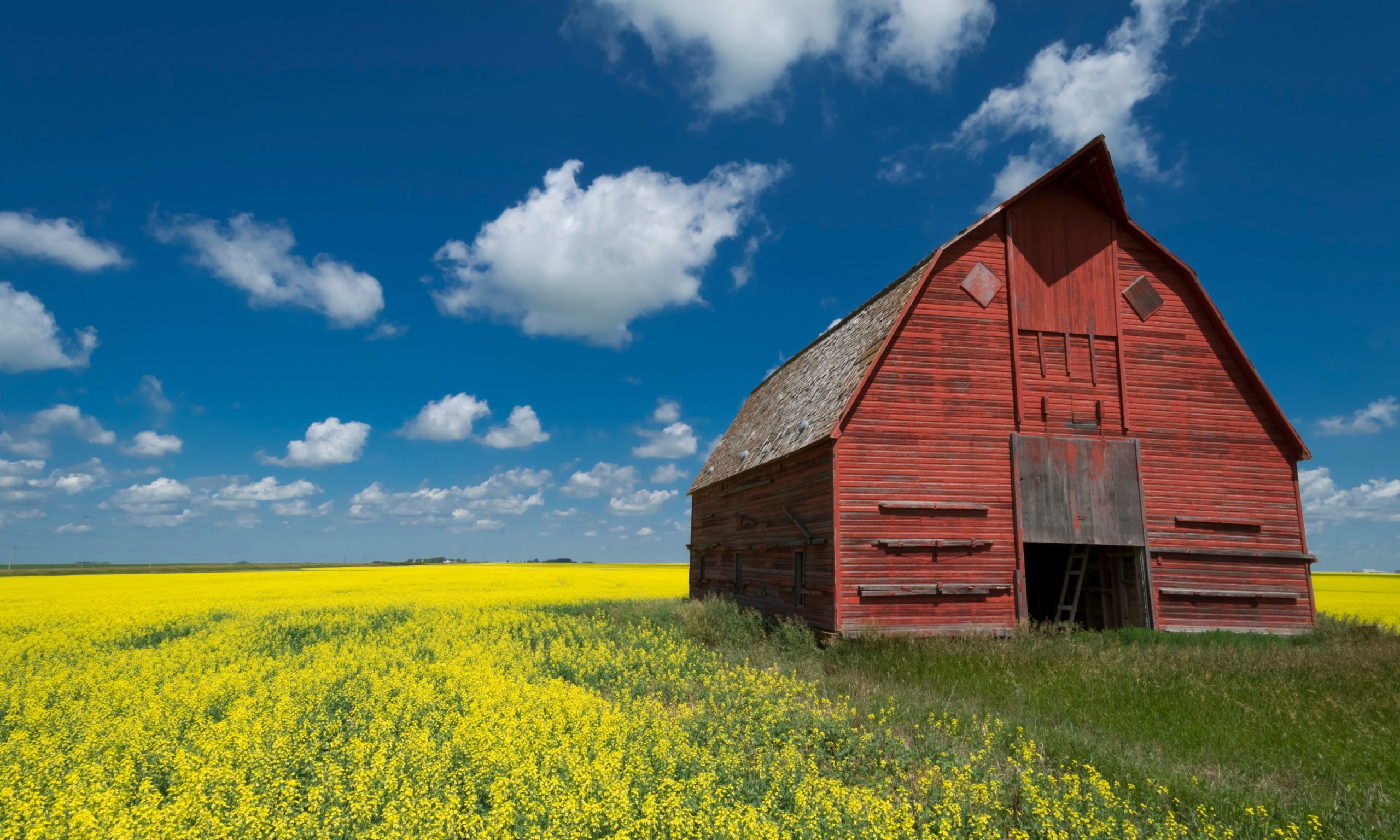 Saskatchewan Immigrant Nominee Program (SINP) explained