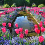 What is the Federal Skilled Worker Program?